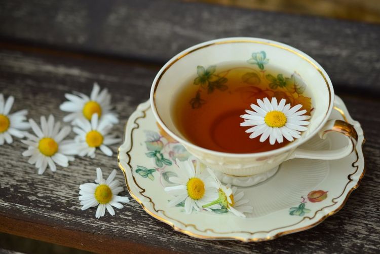 10 Manfaat teh chamomile untuk kesehatan dan kecantikan
